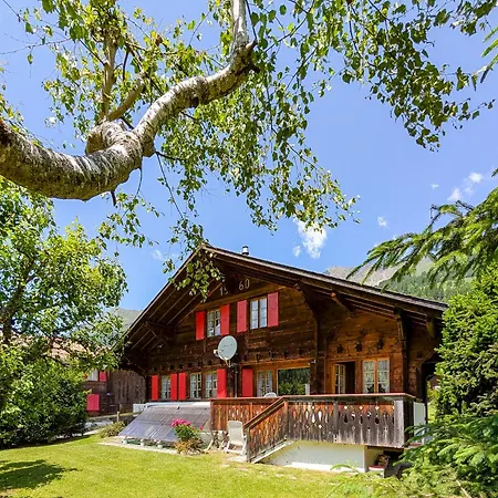 Grand Familial Avec Cheminee Aux Diablerets