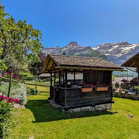 Havre De Paix Aux Diablerets - Prive