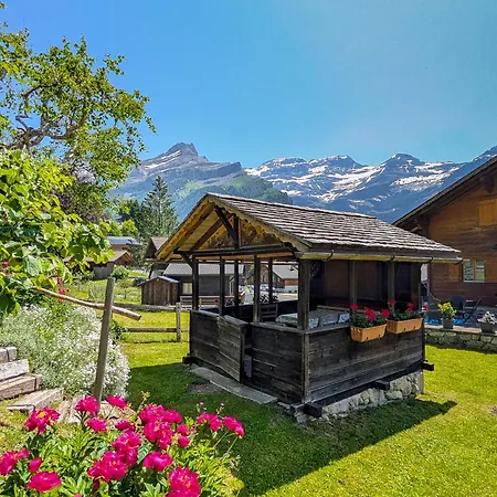 Grand Familial Avec Cheminee Aux Diablerets レ・ディアブルレ