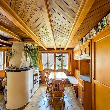 Grand Familial Avec Cheminee Aux Diablerets
