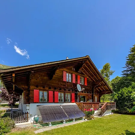 Grand Familial Avec Cheminee Aux Diablerets アパート