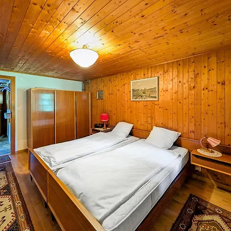Grand Familial Avec Cheminee Aux Diablerets