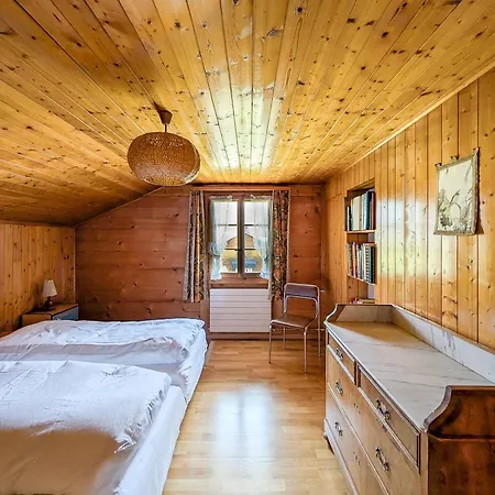 Grand Familial Avec Cheminee Aux Diablerets