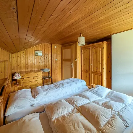 Grand Familial Avec Cheminee Aux Diablerets *