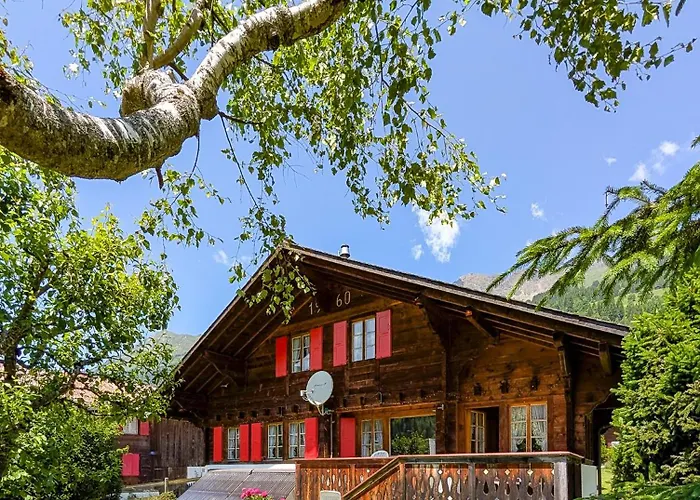 Havre De Paix Aux Diablerets - Prive