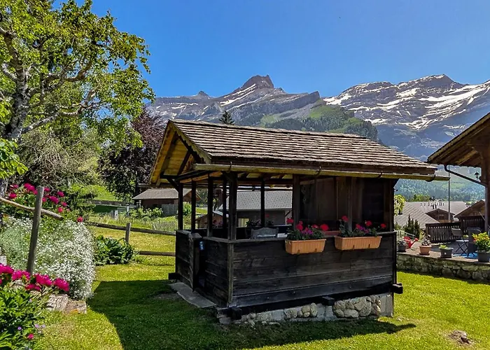 Havre De Paix Aux Diablerets - Prive