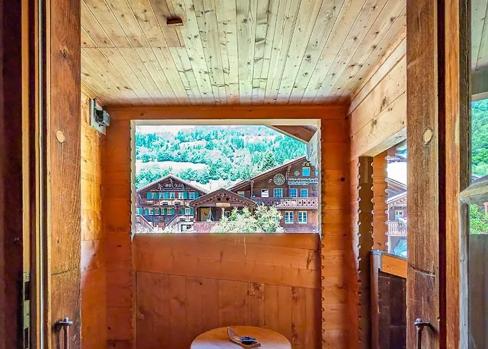 Havre De Paix Aux Diablerets - Prive *