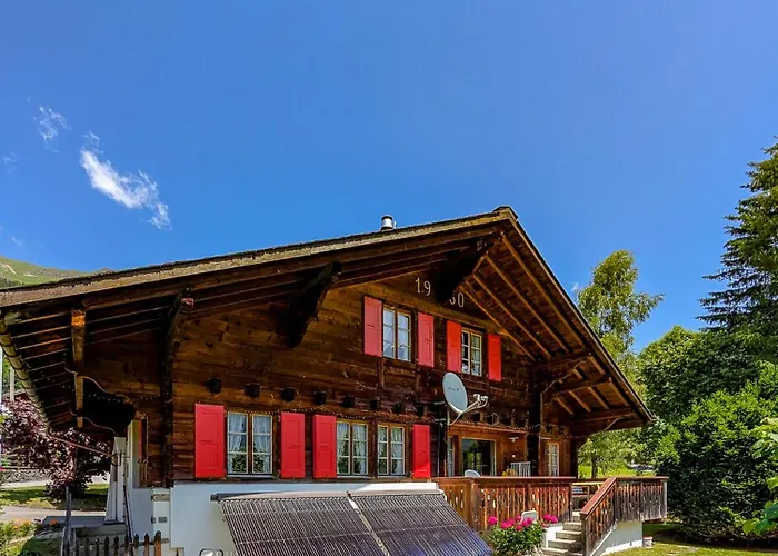 Havre De Paix Aux Diablerets - Prive Appartement