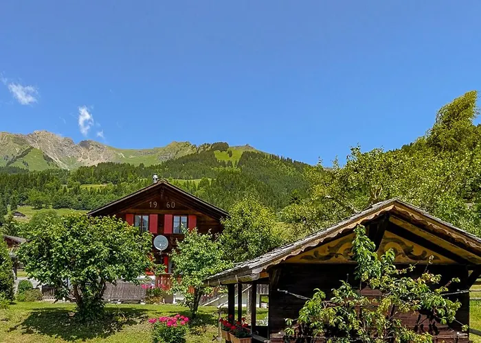 Havre De Paix Aux Diablerets - Prive Apartman *