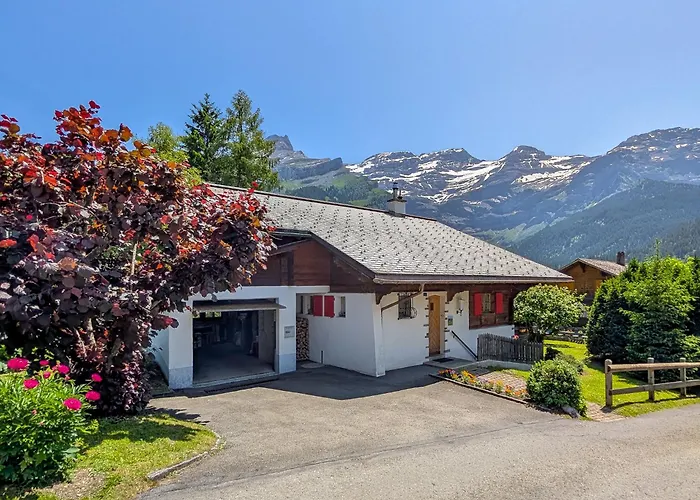 Havre De Paix Aux Diablerets - Prive Les Diablerets