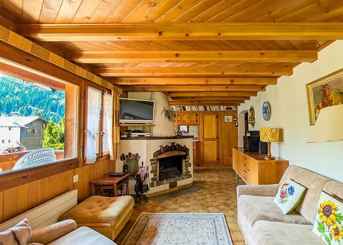 Havre De Paix Aux Diablerets - Prive Apartment